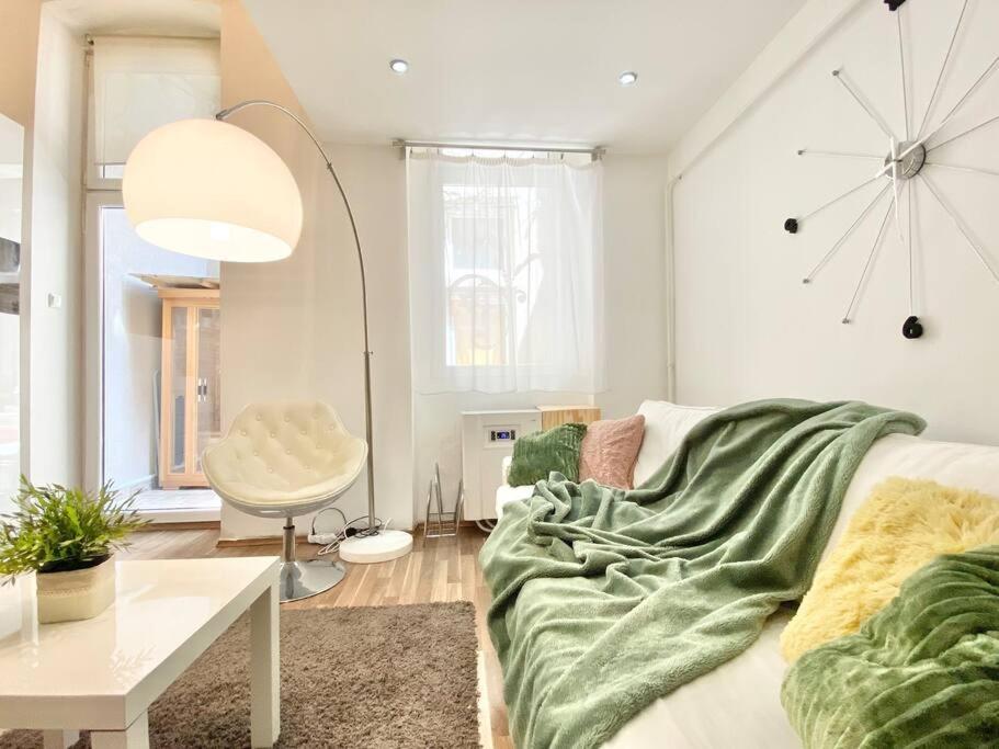 Stay Cool! Apartment With Sauna And Private Garden Budapest Eksteriør billede